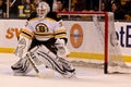 Tim Thomas Boston Bruins goalie Royalty Free Stock Photo