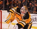 Tim Thomas Boston Bruins. Royalty Free Stock Photo