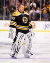 Tim Thomas, Boston Bruins Royalty Free Stock Photo