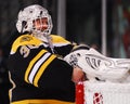 Tim Thomas, Boston Bruins Royalty Free Stock Photo