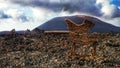 Timanfaya Lanzarote