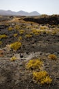 timanfaya in los volcanes volcanic