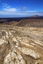 Timanfaya in los volcanes volcanic spain plant flower bush