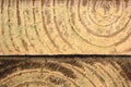 Timber Abstract 1 Royalty Free Stock Photo
