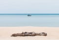 Timber on the beach and fisherman fishing on boat Royalty Free Stock Photo