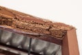 Timber beam of door damaged by termite Royalty Free Stock Photo