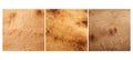 timber birds eye maple wood texture grain Royalty Free Stock Photo