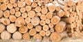 Timber Royalty Free Stock Photo
