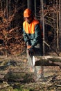 Timber cutting, forest worker - Lumberjack