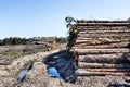 Timber cutting. Stack of spruce logs Royalty Free Stock Photo