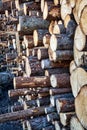 Timber cutting. Stack of spruce logs Royalty Free Stock Photo