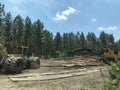 Timber exploitation