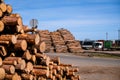 Timber export. Logs are stacked in the port, ready for loading on ships. Selective focus Royalty Free Stock Photo