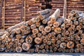 Timber export. Logs are stacked in the port, ready for loading on ships. Selective focus