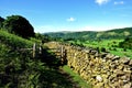 Dry stone wall of Sticks Pass Royalty Free Stock Photo