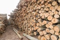 Timber Royalty Free Stock Photo