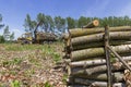 Timber Industry - Bundle Of Tree Logs In A Crane Grabber Royalty Free Stock Photo