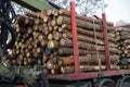 Timber Industry Royalty Free Stock Photo
