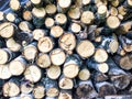 Timber logs background view Royalty Free Stock Photo