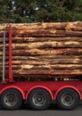 Timber logs on a forestry truck