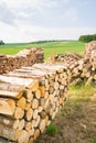 Timber logs