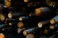 Lumber logs stacked in the forest