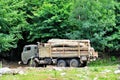 Timber logs on truck trailer Royalty Free Stock Photo