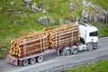 Timber logs on truck trailer