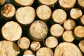Timber lumber balk beam short Royalty Free Stock Photo