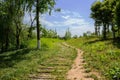 Timber-paved footpath along trail in grass on sunny summer day