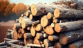 timber pile log wood chop agriculture environment balk timbering material natural rural nature tree wooden arbour burn chump