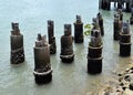Timber piles remains which previously supported a jetty Royalty Free Stock Photo
