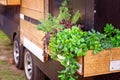 Timber Planter Box On A Truck Royalty Free Stock Photo