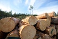 Timber resources Royalty Free Stock Photo