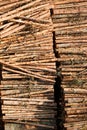 Timber resources Royalty Free Stock Photo