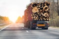 A timber semi-trailer truck transports timber logs along an asphalt road against a spring sunset background. Logging Royalty Free Stock Photo