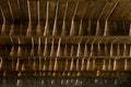 Timber slat roof, architectural structure with sunlight streaming through it and creating a beautiful shadow line Royalty Free Stock Photo