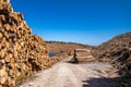 Timber stacks at Bonny Glen in County Donegal - Ireland Royalty Free Stock Photo