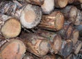 Timber stacks close up abstract view in northwales