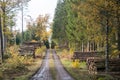 Timber stacks by a dirt road in fall season