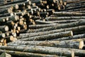 Timber stock Royalty Free Stock Photo