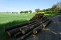 TImber stock in countryside, meadows, sawlog, spring landscape