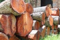 timber stock on saw mill Royalty Free Stock Photo
