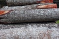 timber stock on saw mill Royalty Free Stock Photo