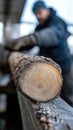 Timber storage: cut trees neatly arranged in sawmill, showcasing process of logging, preparation for transformation into