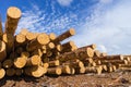 Timber. Summer, blue sky. Timber and building supplies Royalty Free Stock Photo
