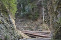 Timber transport by cable car in the woods.