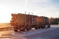 A timber truck carries logs along the road against the backdrop of a sunny sunset. Wood Export and Import Concept