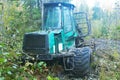 Timber truck in forest