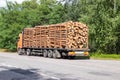 Timber truck with a forest rides on the highway with cargo Royalty Free Stock Photo